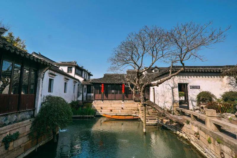 鼻郎中鹅草膏为什么买不到(鼻郎中鹅草膏哪里可以买到)