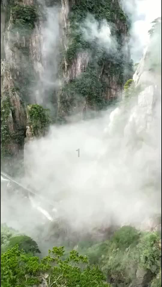 救援金刚狼